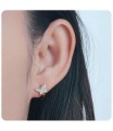 Silver Hoop Earring HO-2590